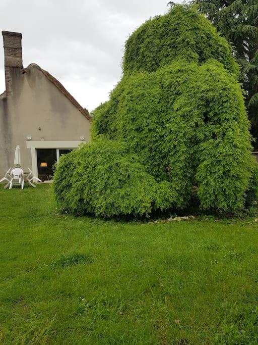 Chaumiere Avec Sa Toiture Recouverte De Chaume !!! Donnemain-Saint-Mames Extérieur photo