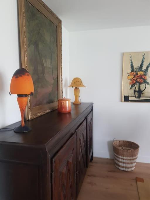 Chaumiere Avec Sa Toiture Recouverte De Chaume !!! Donnemain-Saint-Mames Extérieur photo